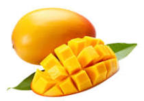 MANGO KENT AEREO