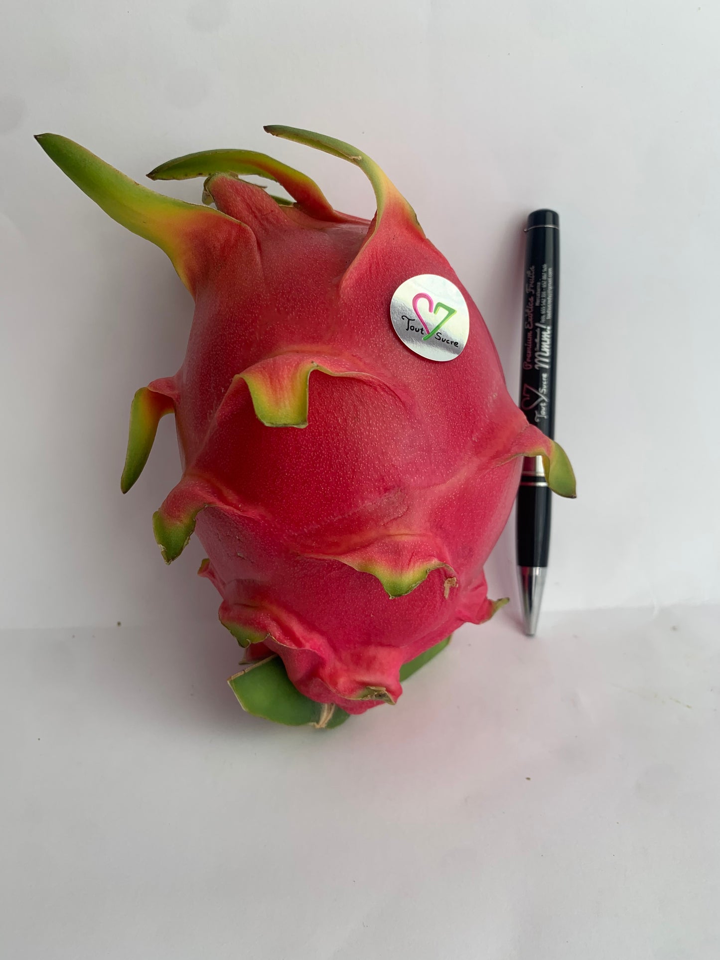 PITAHAYA BLANCA